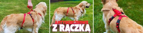 Szelki antyucieczkowe z rączką M/L
