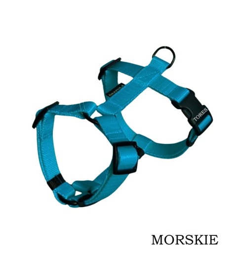 Szelki guard S/M