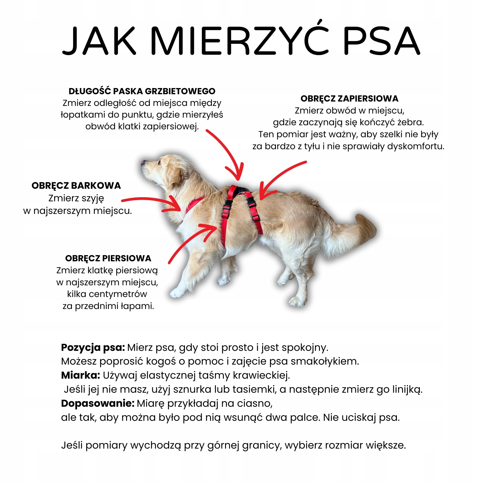 jak-mierzyc(1).jpeg